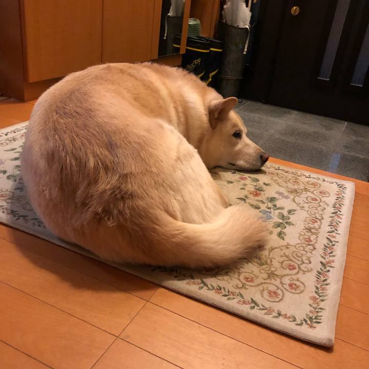 Dc915e09 a0f9 42b7 a646 5864d64d1683 1544009852108