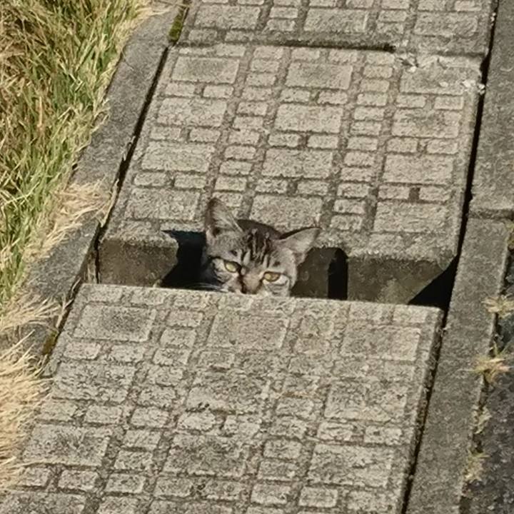 Dc918057 70e3 41c1 b4ef bd00be46d324 1603016314640