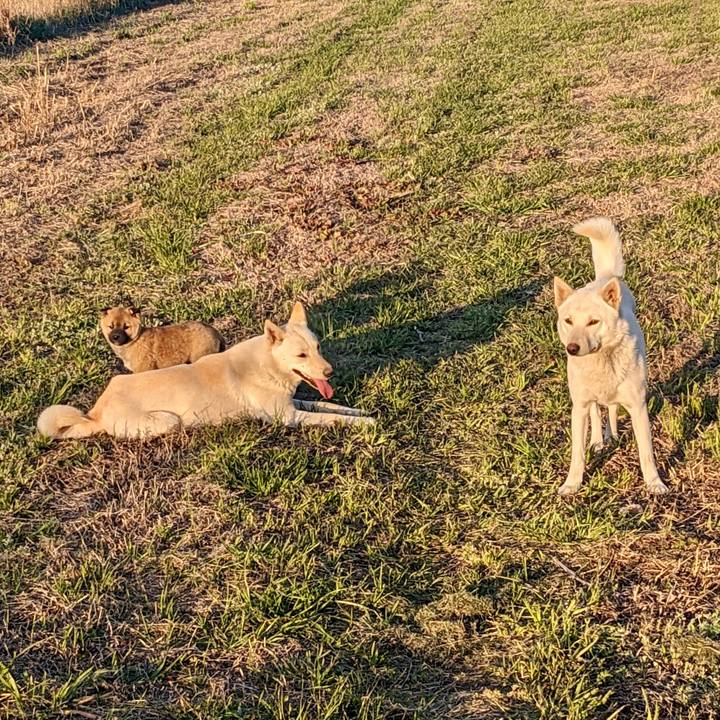 Dc91918c 285c 4965 9954 c4c05e1474c0 1773583957009