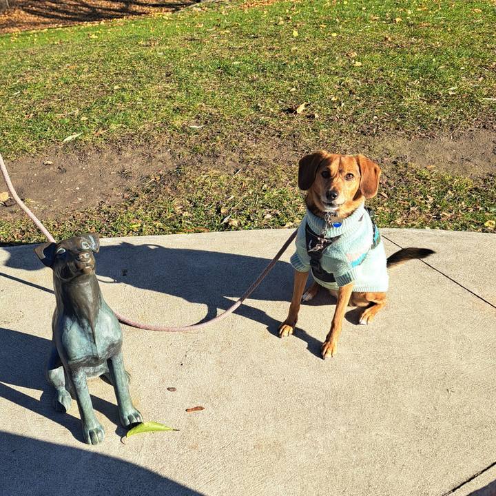 Dc919c11 32e9 4b87 bfc0 ac8df8c7a2a2 1763584891894