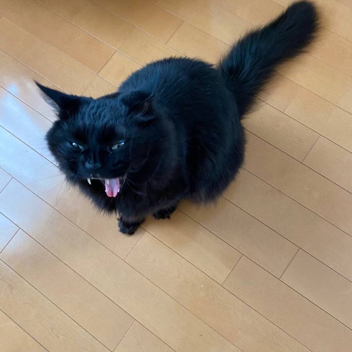 Dc91be35 de9b 4920 b312 740eebe4f1a6 1592461266535