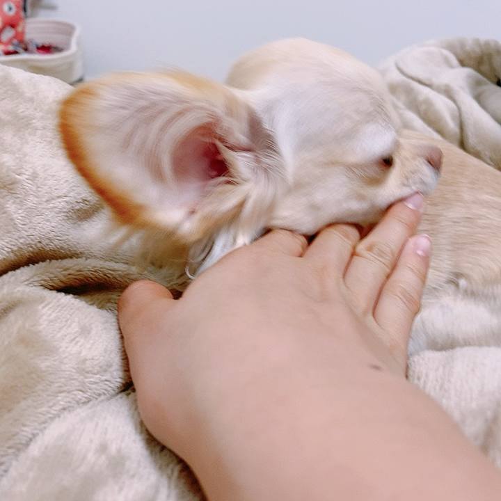 Dc91ca58 5c4a 4ea4 ba5e c996de58a4ad 1611899626841