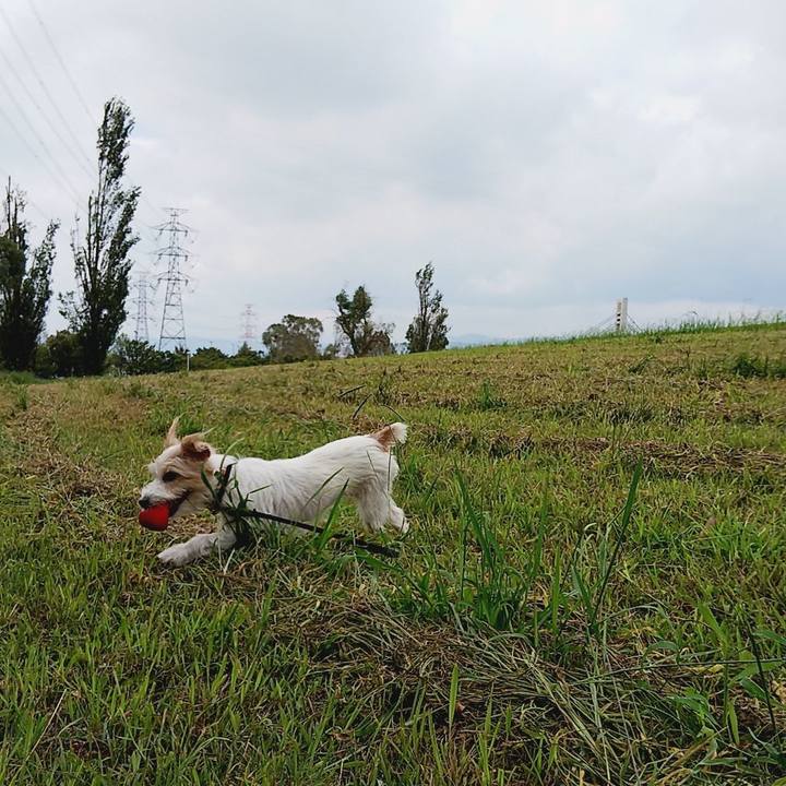 Dc9244d3 78a9 4895 a468 39604dfa3190 1537082334612