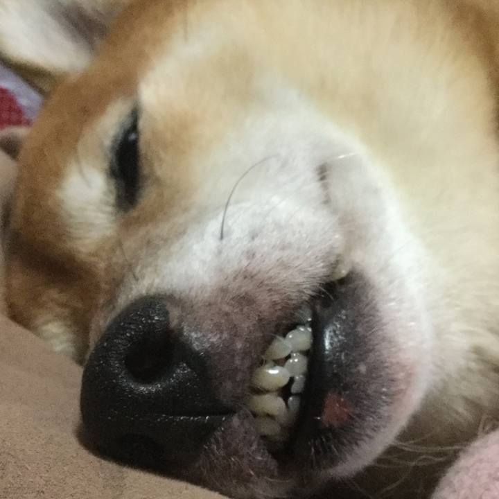 Dc9262e4 a9f3 4a8b bb42 f74f508f4d0c 1571482723979