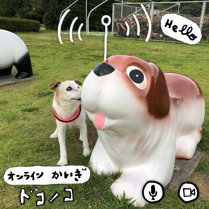 Dc926a69 2510 412c ad21 7e792583187d 1591044235998