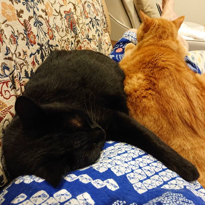 Dc927c9e 577f 4f02 919a 94b25185ba26 1689512782122