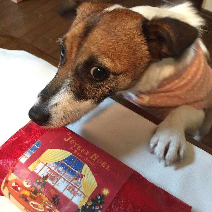 Dc92b0ad af3b 4fdc a35c b51da0b0280d 1509543341351