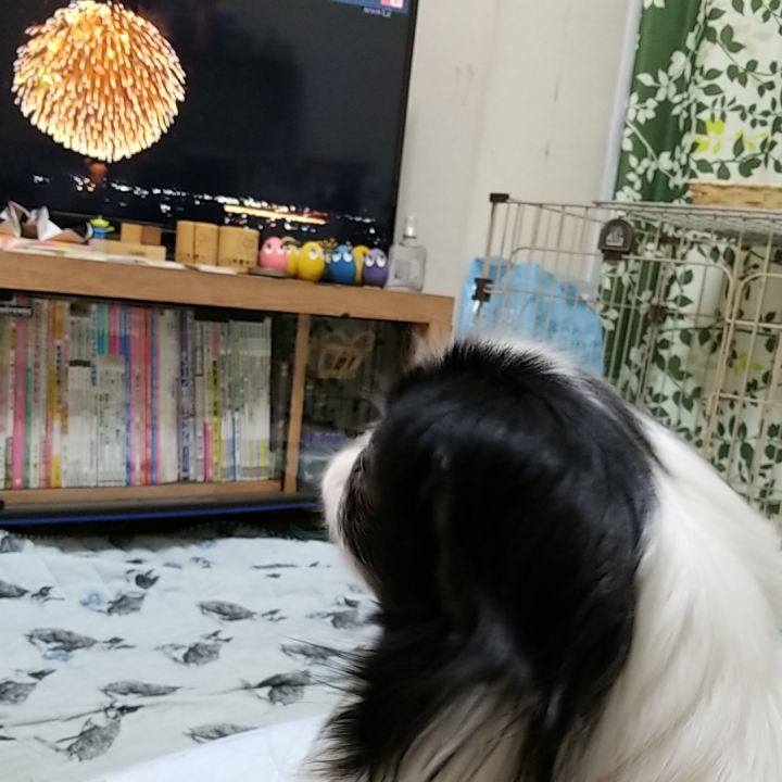 Dc92f58c 55b6 48ee 9da6 04756e050ffe 1533212069731