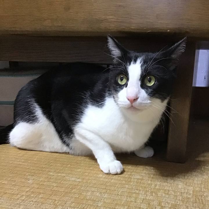 Dc930212 da16 4a2f 9a54 00122004ff1b 1760165794576