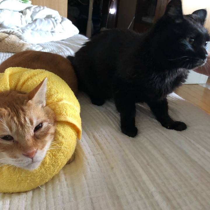 Dc93673d c6a3 4e86 88c5 8da762426ed9 1600674461655