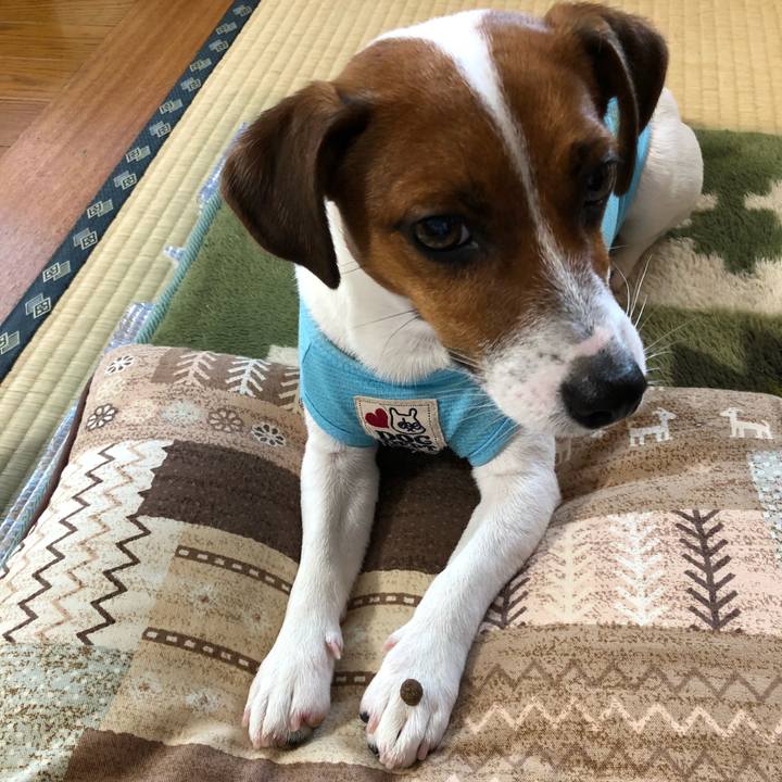 Dc93709e 59a2 4af7 835b ae5b079a080b 1532566387547