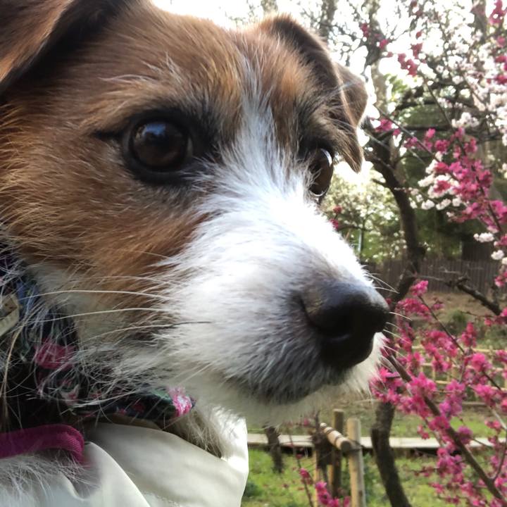 Dc93c5ac 7812 48bb 8d49 78e07cf89aba 1604592871855