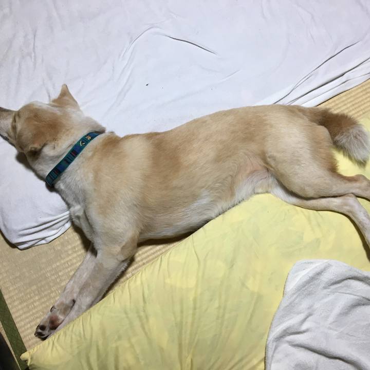 Dc9401fc e449 40f0 9a82 f1646d8db0d3 1529333806131