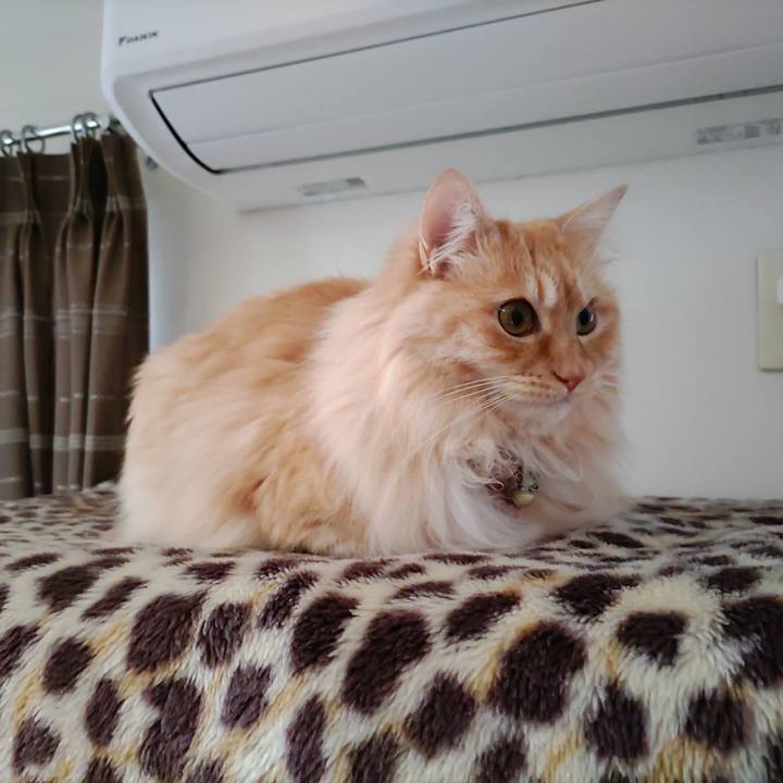 Dc944801 277f 4b10 b68b a97f70e48d7f 1681429113262