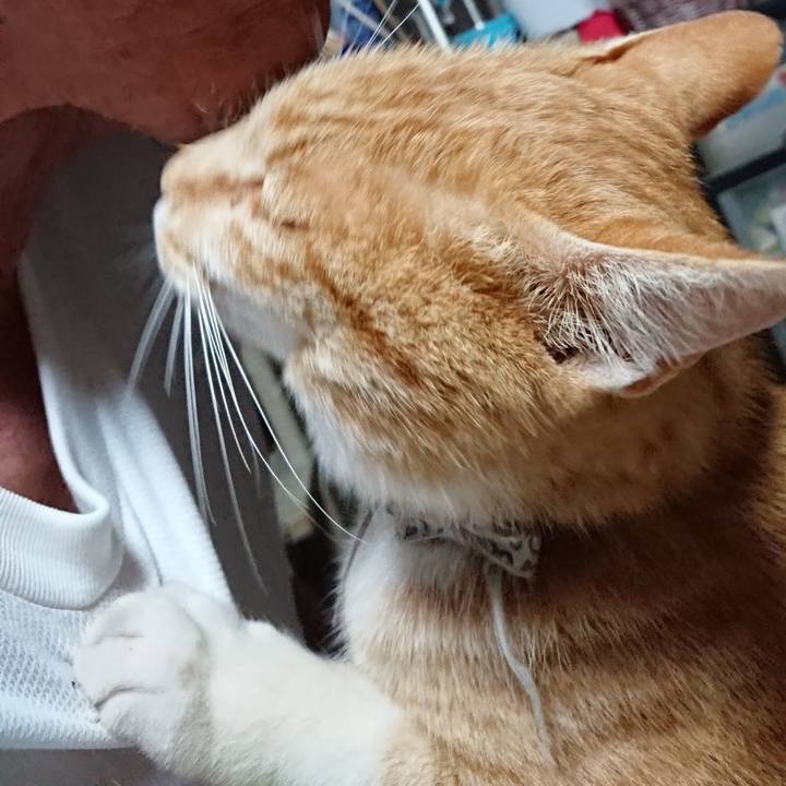 Dc944b36 39fb 4ead 89fc 9d01f1a4fe55 1593373132548