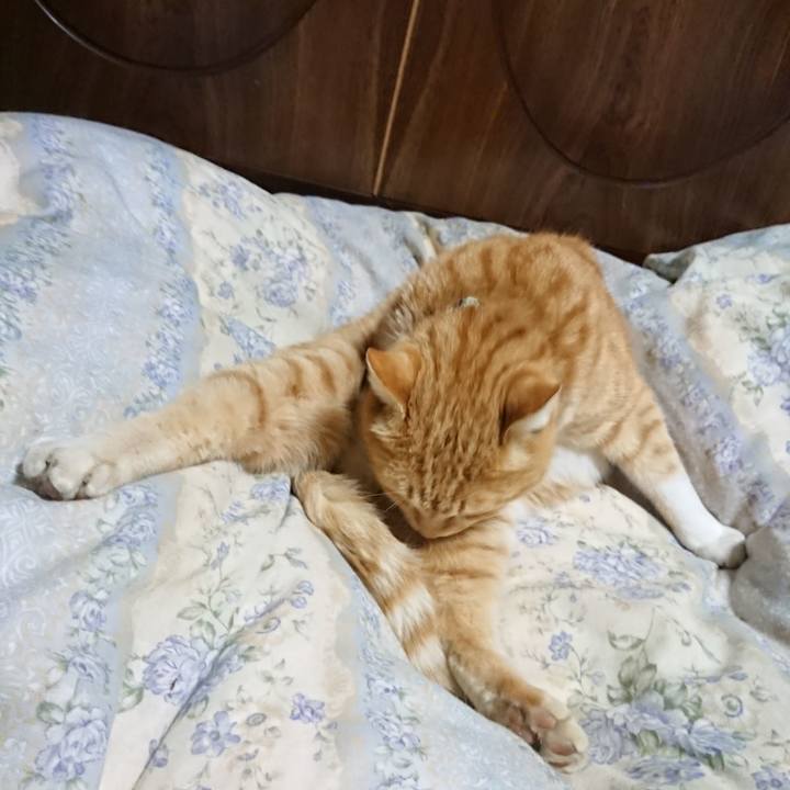 Dc944d36 b16f 4c87 a624 4ca437b48e67 1583062289567