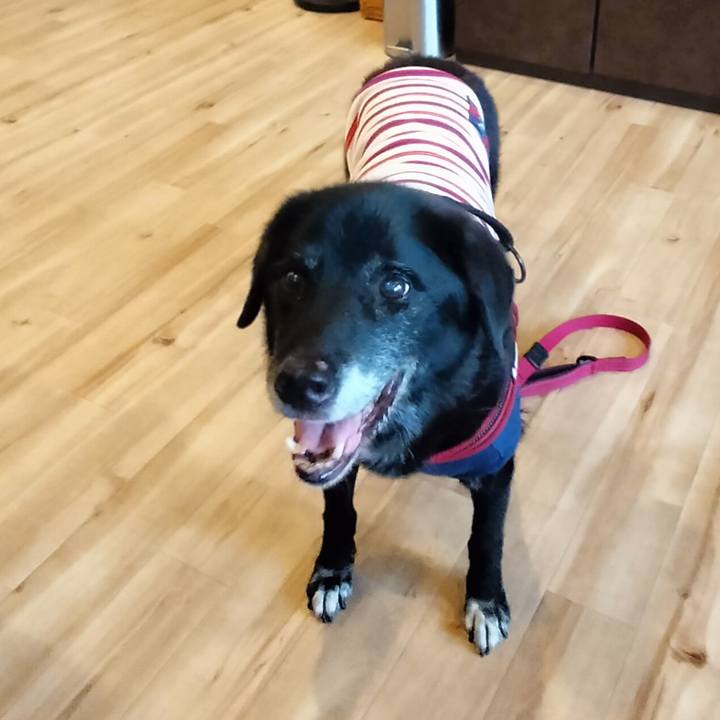 Dc94508d 45ad 454c bed5 f0f0b547e318 1760231604962