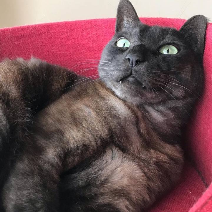 Dc9465e4 0ab3 463c 9ce4 b34b95a80eb5 1647942304583