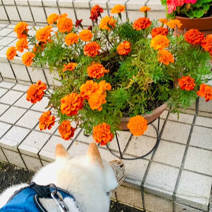 Dc94874f af06 4ebd 892f 79565f0bff4b 1664485799220