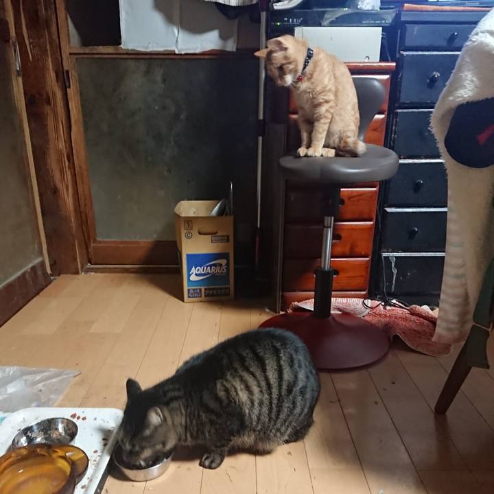 Dc948a79 c9e1 414e b1df 8ad90f5b413c 1635454927873