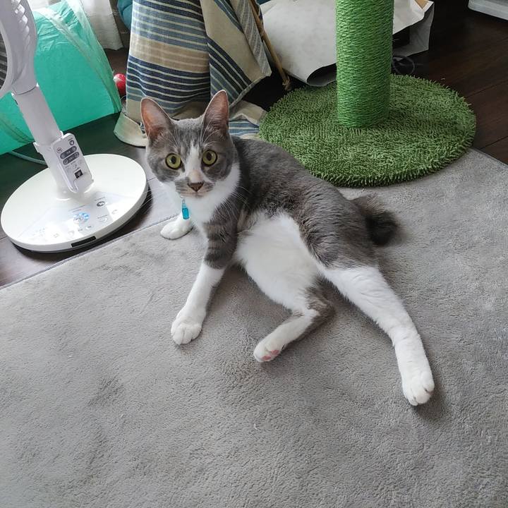 Dc948fb2 9a5b 4012 b583 b5e25516ade5 1594080216463