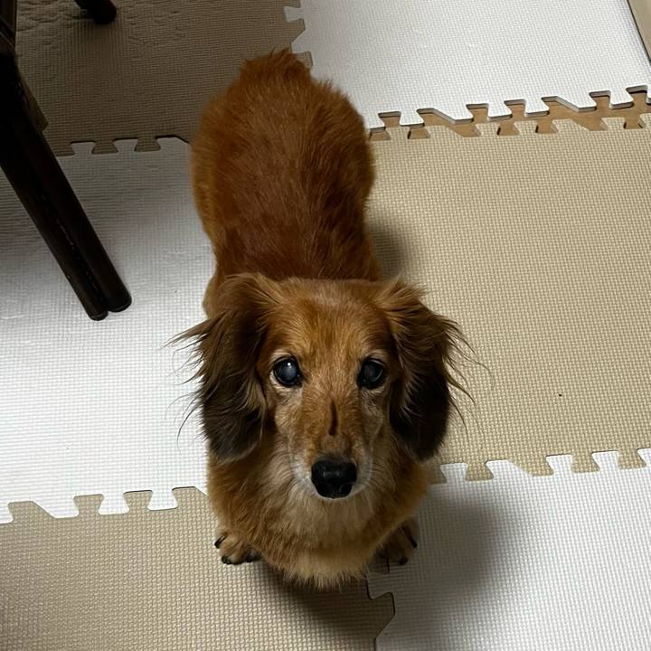 Dc94d5a8 4e50 45df b16e e3538bd5beb9 1663247633488