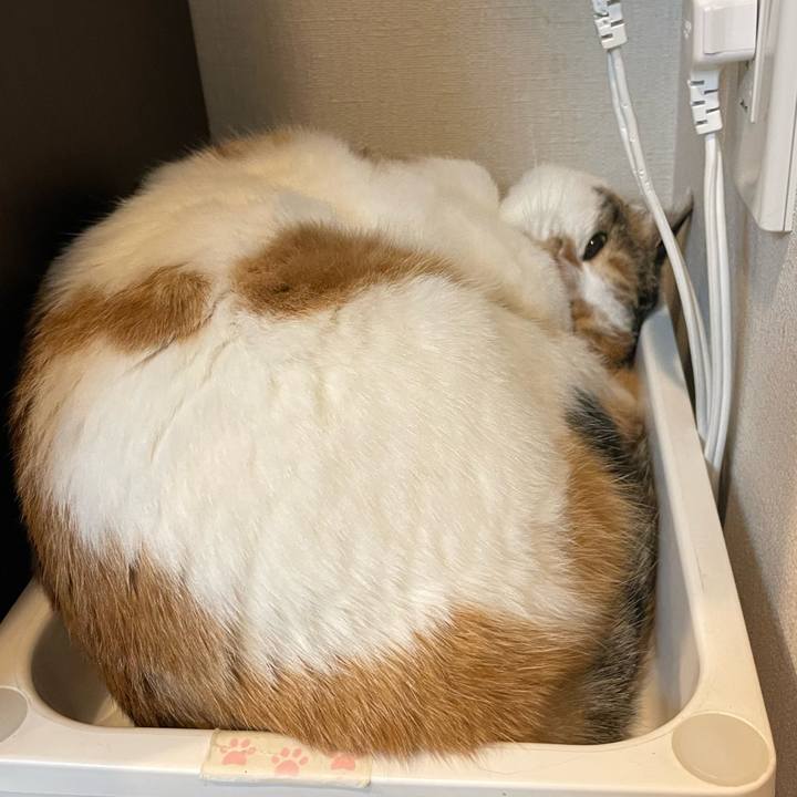 Dc94de0c aa10 409b b0e6 52f586310d09 1701872009035