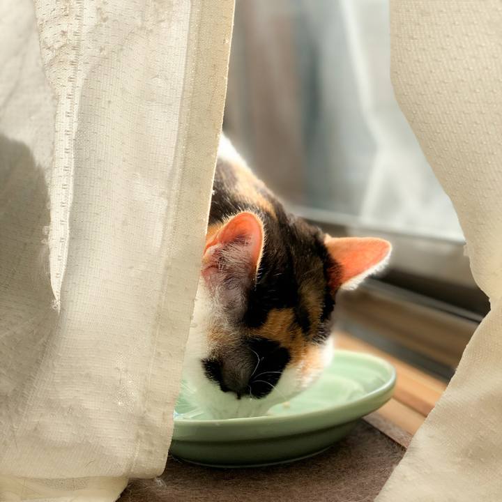 Dc951432 7d9a 4e73 85ef eafcd41f2c32 1582250387537