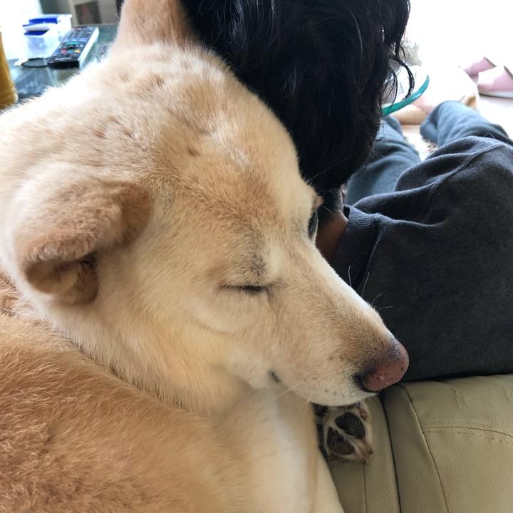 Dc9531a1 32e6 4983 8f21 ccc1c2c586da 1549846866557