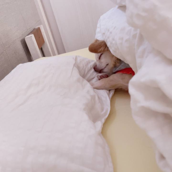 Dc9557c7 a121 4909 9783 396ea84b7c72 1748510202445