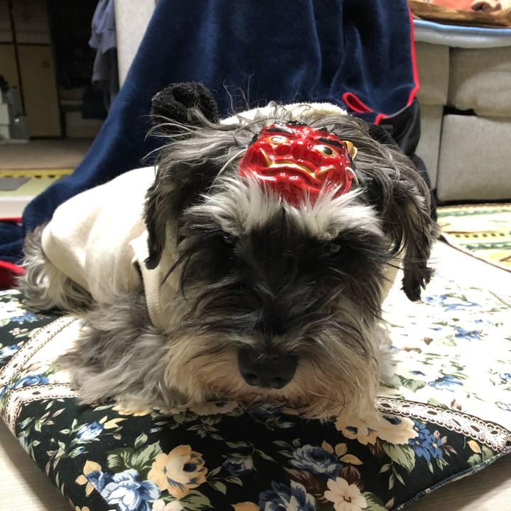 Dc9570e8 954a 4490 8070 ef156934cdd4 1612275282115