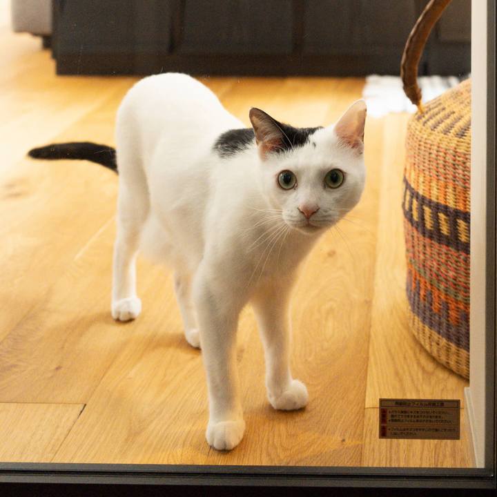 Dc9598dc 6214 4828 9687 536592efcd17 1751887082538