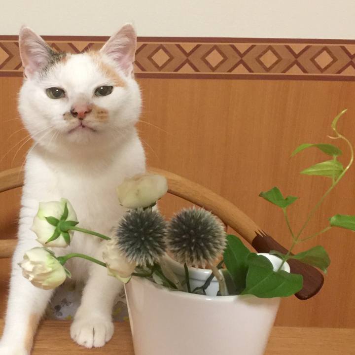 Dc96c84c 1105 4901 a5db 3965e9e5dd34 1532748293574