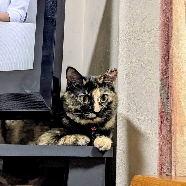 Dc96f1b2 915d 45dd bea8 e74419295bb2 1772626932667