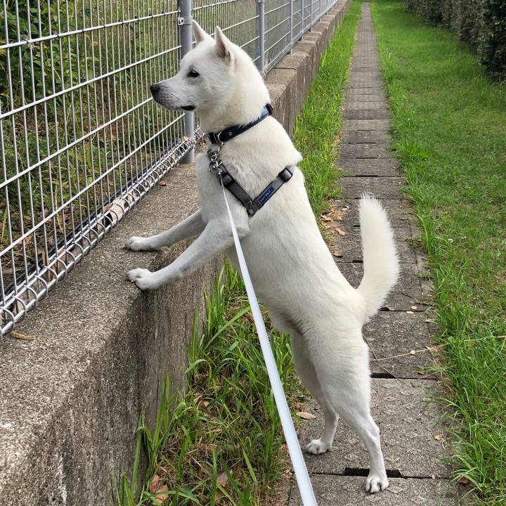 Dc9704b0 ab8a 4e23 b377 0ecf4acfc581 1591494003261