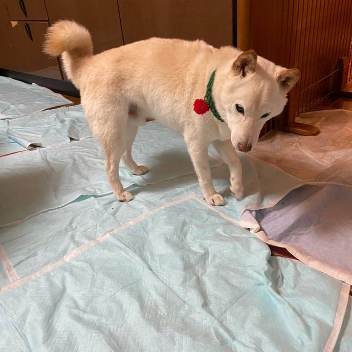 Dc971455 a3e0 4dfe a70b dd7ec272c4e0 1639743828991