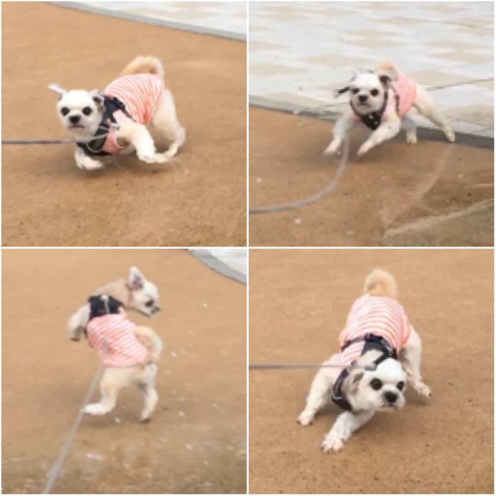 Dc979372 8dc4 43f8 bfc8 b5295bbd7de3 1565824943604