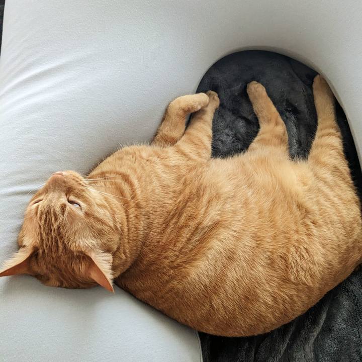 Dc97b42e a19d 4d49 b98d 0aea0d5212a8 1673481666232