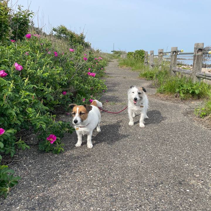 Dc97b5b2 22ae 47ac bc68 21bd6379191f 1716074823320