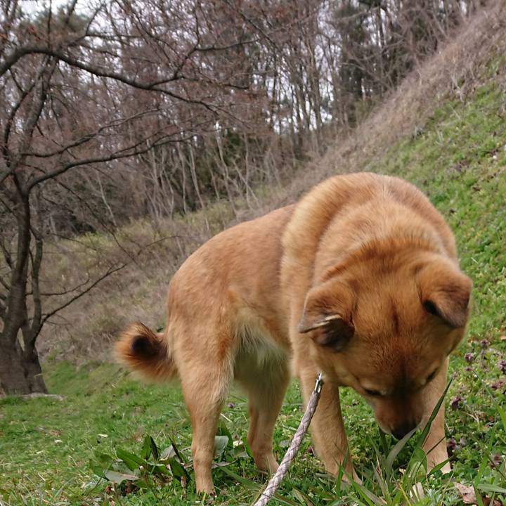 Dc97bca3 c9c4 4036 af4e 6279dda4d91f 1585404724608