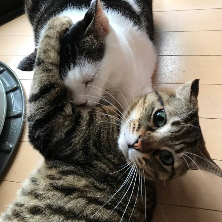 Dc97c057 81dd 46f9 b856 49d1882d0655 1519274749129