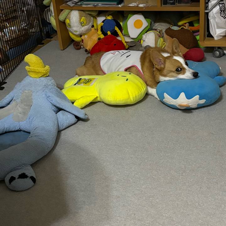 Dc97c629 7407 4fff 935a 5d96727c00f1 1759157547950