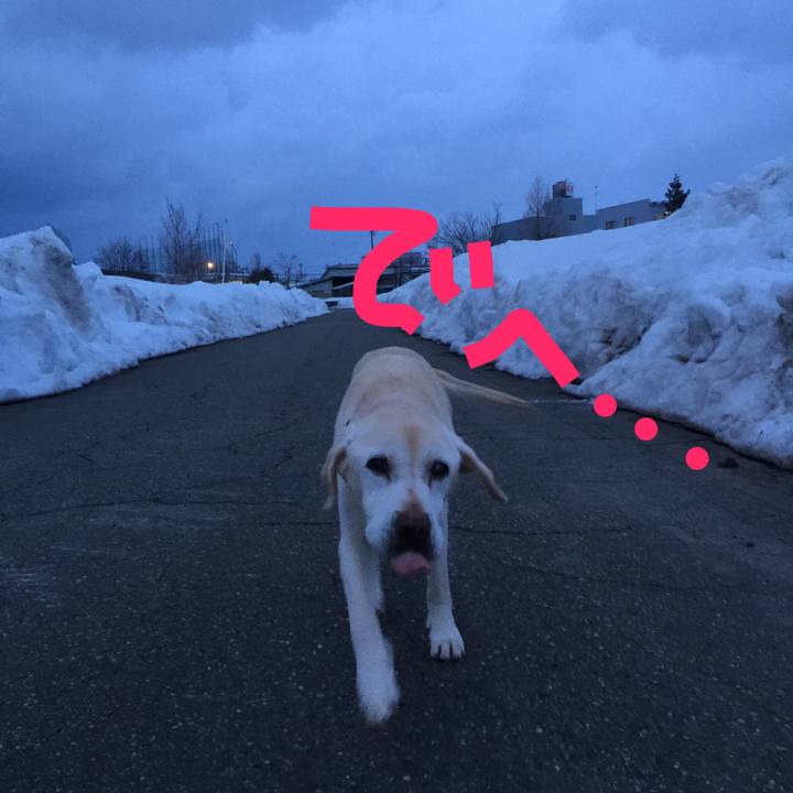 Dc97fbb2 2e6a 4b00 b2fb 88521259a9e9 1519722710019