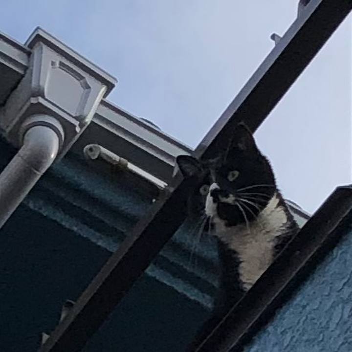 Dc980b8f e8ac 454f a79a 743eec7752ae 1584070918483