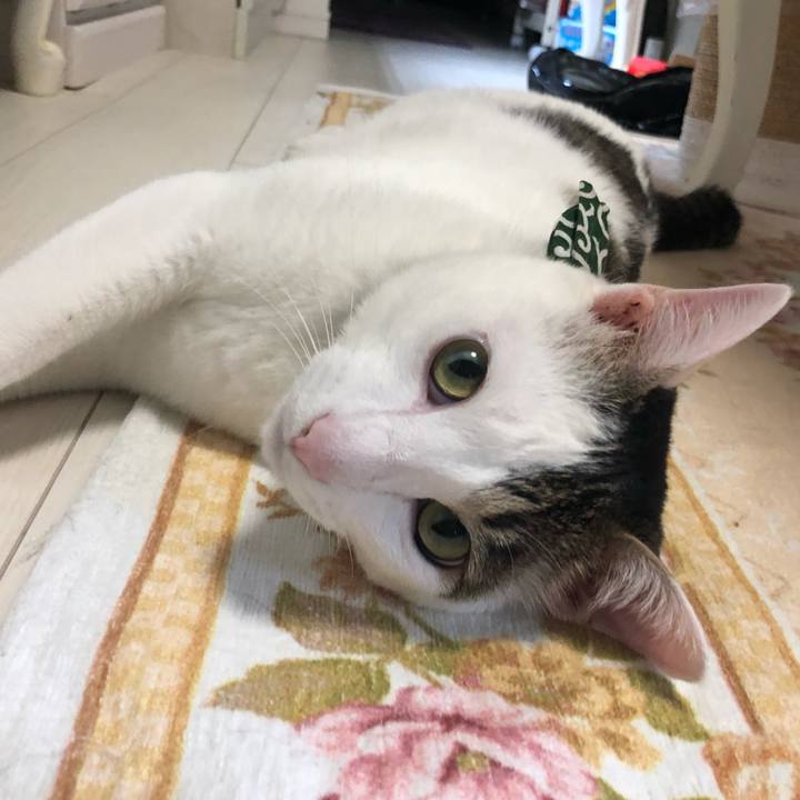 Dc9833b0 6a96 48cd 99d5 9e8ff452a12d 1530148234918