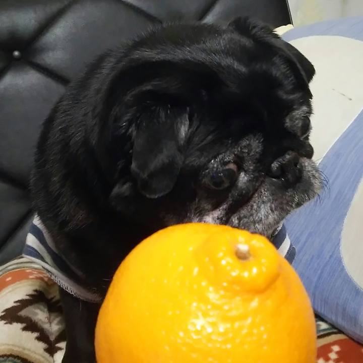 Dc983cd2 ccf8 4129 aa38 6a4d24c272b1 1519185245655