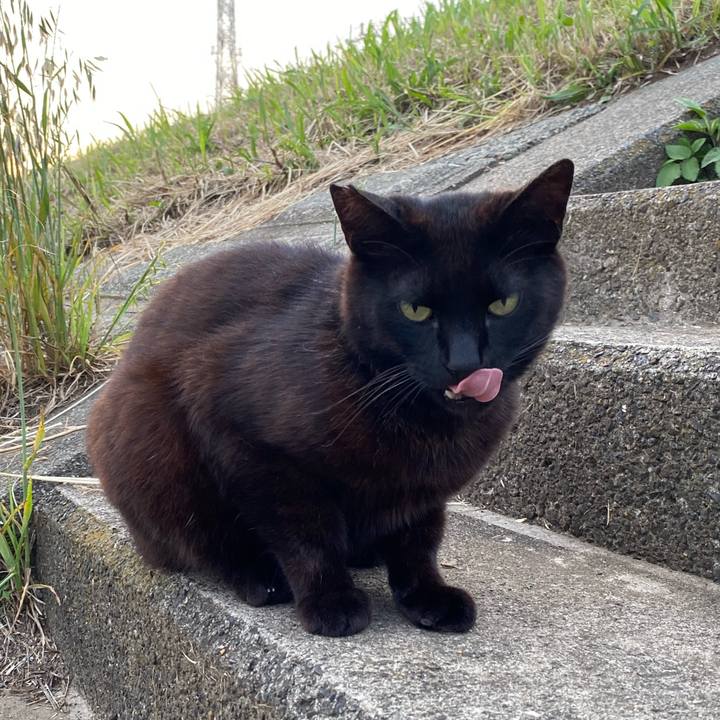 Dc98a5d3 52e2 40a7 86d2 1e52c53d146c 1692698555401