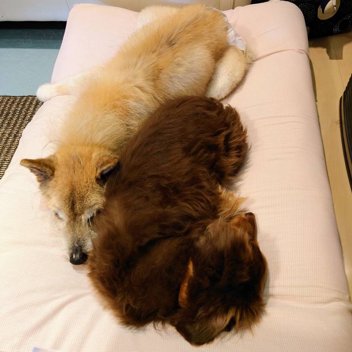 Dc98a876 dba3 4cdf b33b a7501e0fd40c 1654487991729