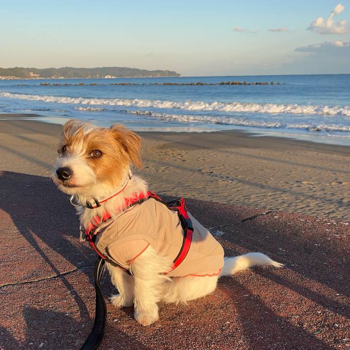 Dc98ad8f 67ad 4e24 b54d 977dfad1f7b9 1764939472622