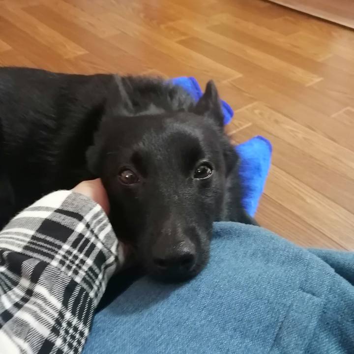 Dc98b089 7af9 4bc7 889e 0e5214254f65 1620993856074